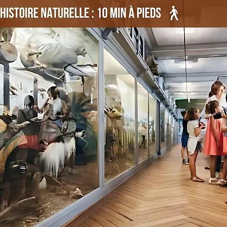 Appartement La Cabane, Au Calme Proche Du Centre, Economique